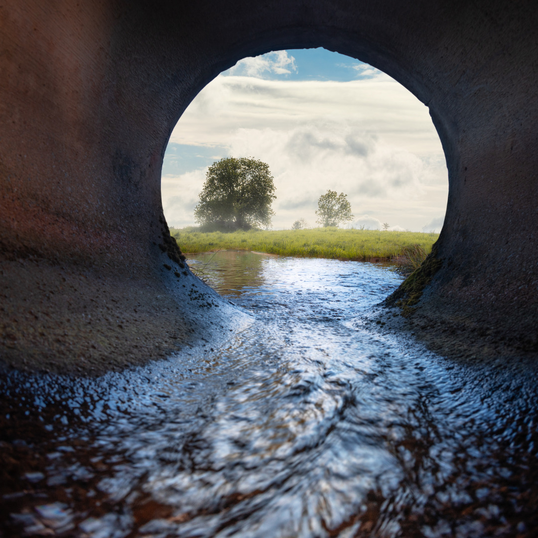 Water structure that is engineering by an environmental engineer